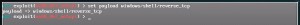 payload